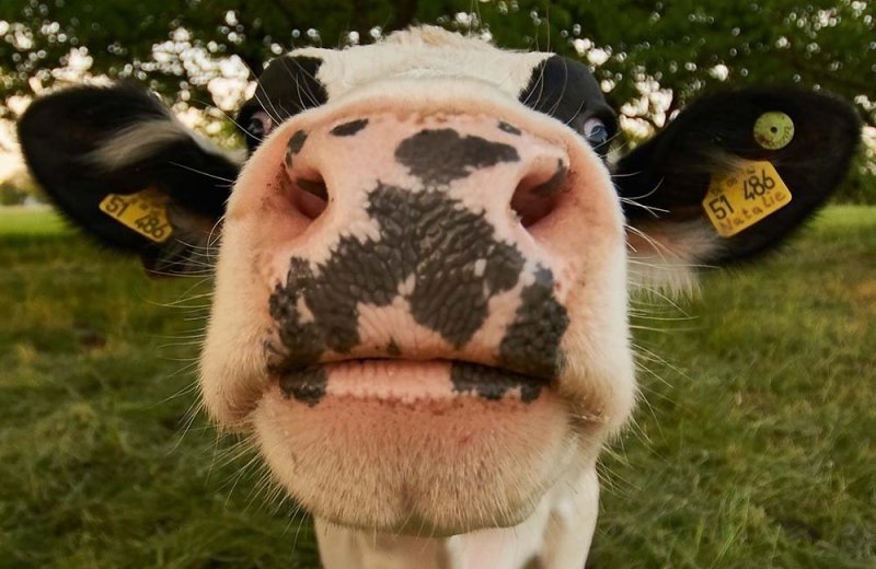 Visit farm Leven van de Wind