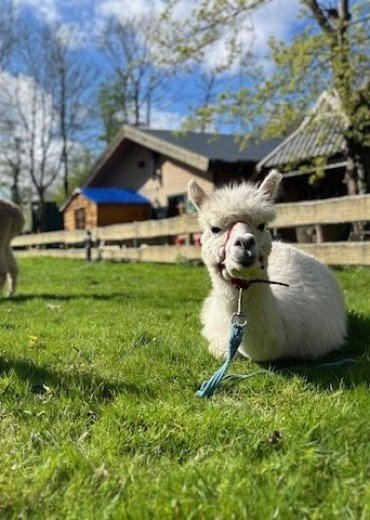 Discover our campsite